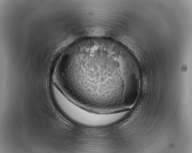 X0000097990681200804071152