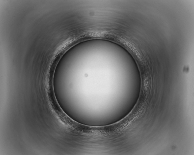 X0000097990682200804071152