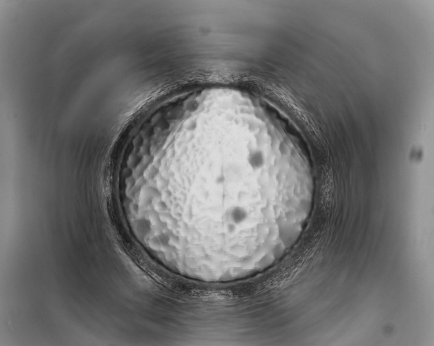 X0000097990683200804071152