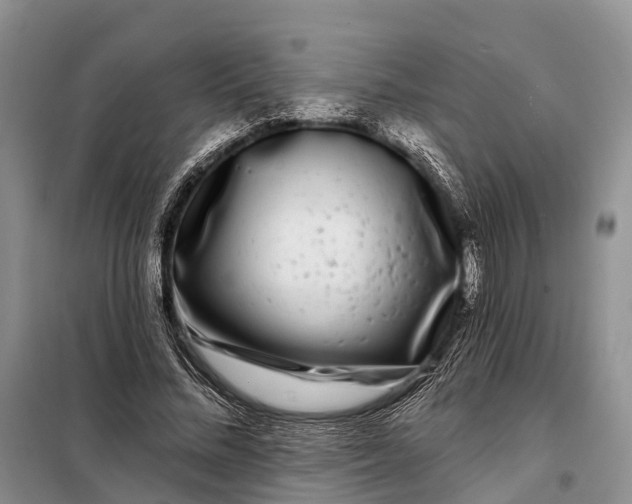 X0000097990684200804071152