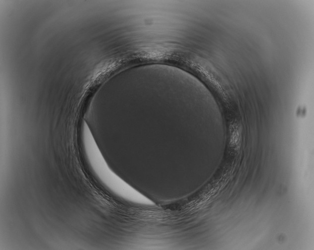 X0000097990685200804071152