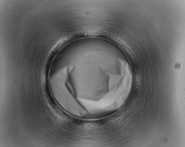 X0000097990686200804071152