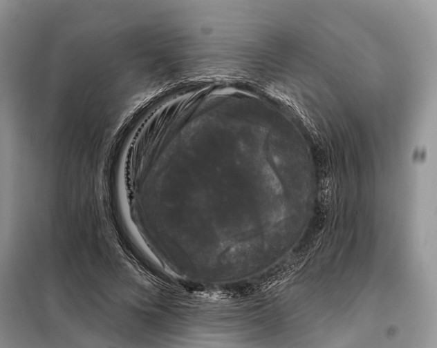 X0000097990688200804071152