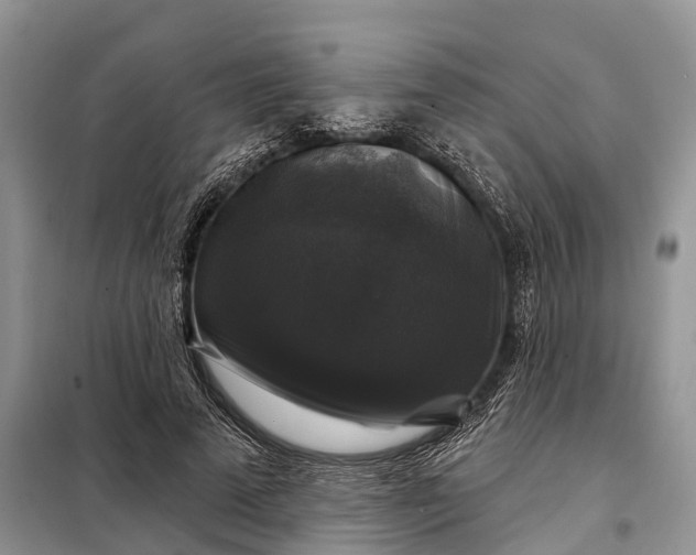 X0000097990689200804071152
