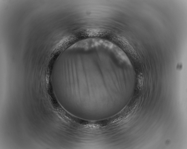 X0000097990691200804071152