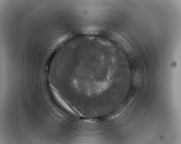X0000097990692200804071152