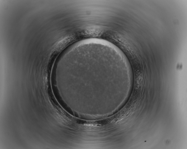 X0000097990693200804071152