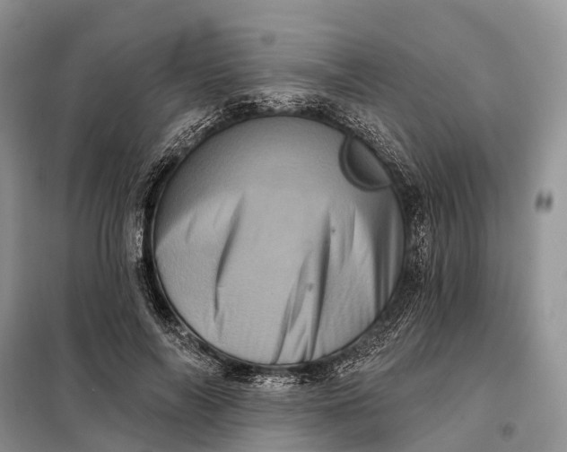 X0000097990694200804071152