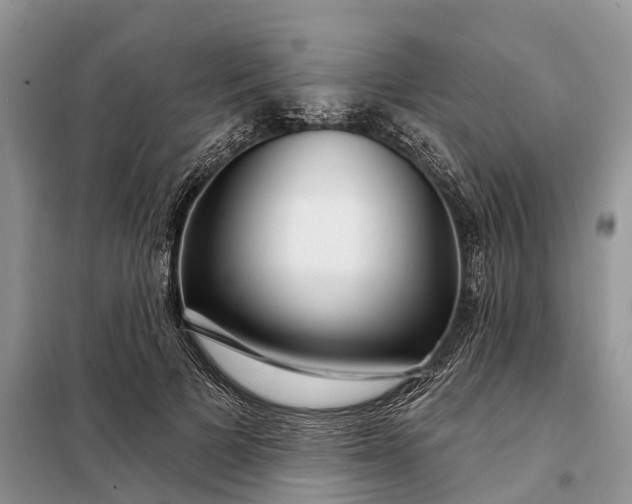 X0000097990697200804071152