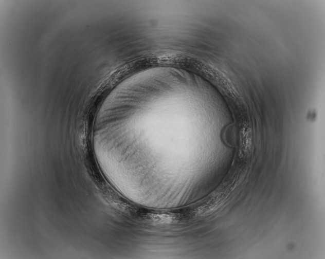 X0000097990698200804071152