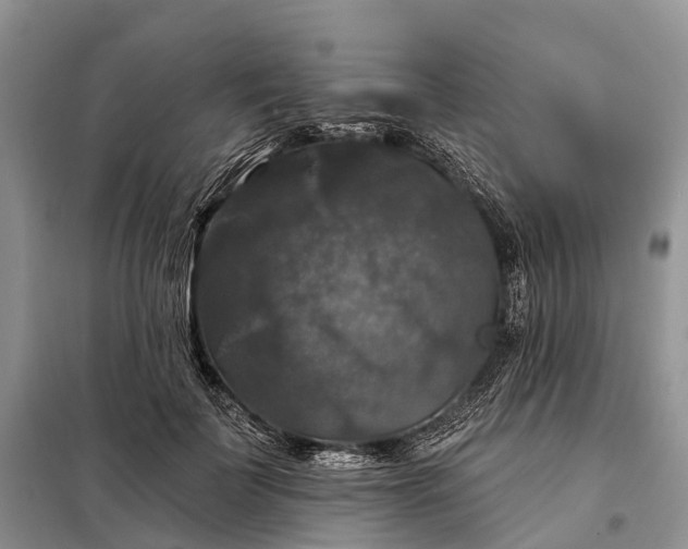 X0000097990699200804071152