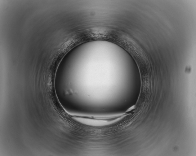 X0000097990700200804071152