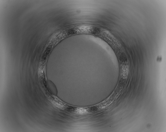 X0000097990701200804071152