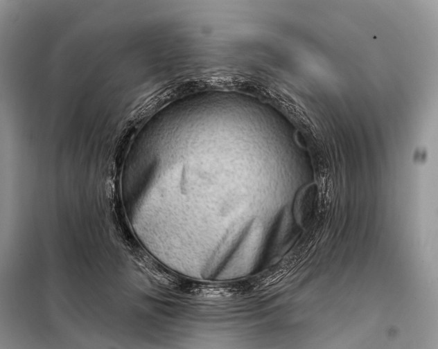 X0000097990702200804071152