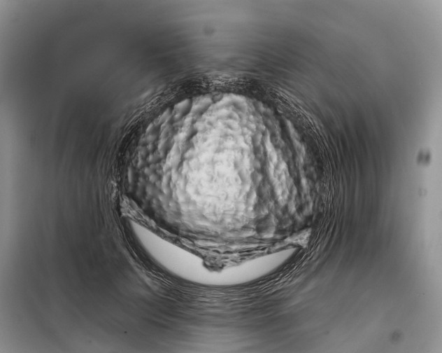 X0000097990703200804071152