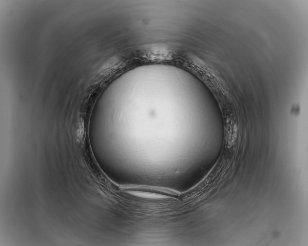 X0000097990704200804071152