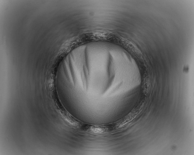 X0000097990706200804071152