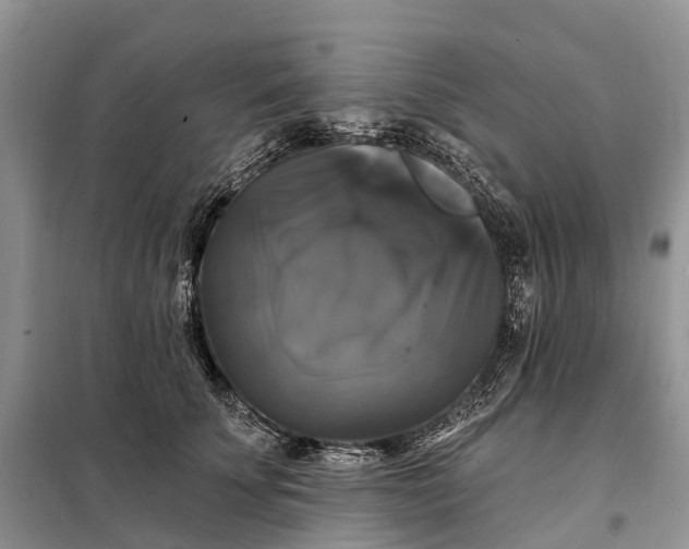 X0000097990707200804071152