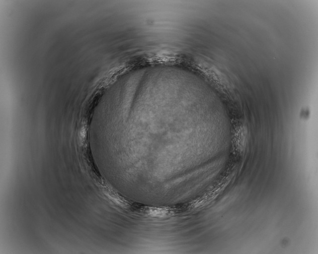 X0000097990709200804071152