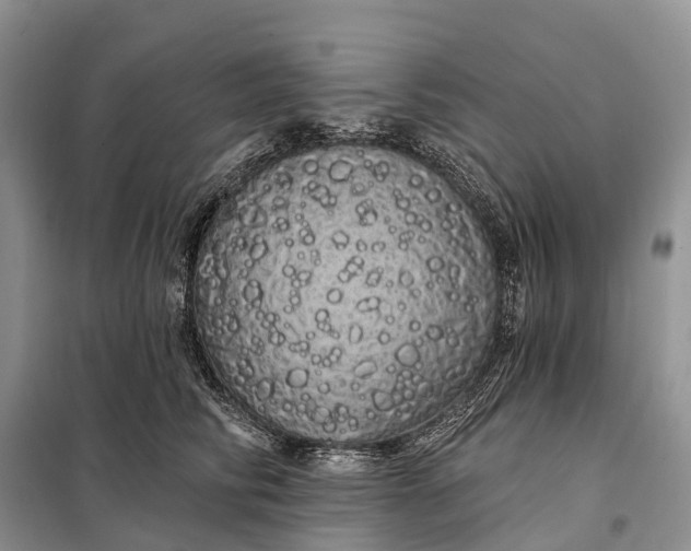 X0000097990710200804071152