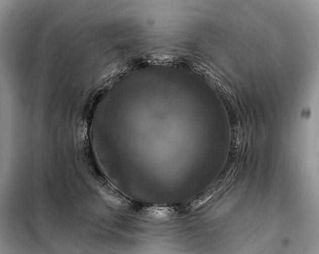 X0000097990711200804071152