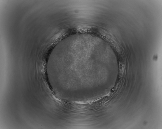 X0000097990712200804071152