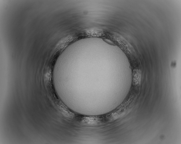 X0000097990713200804071151