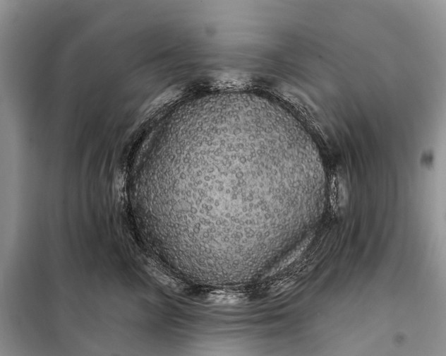 X0000097990714200804071151