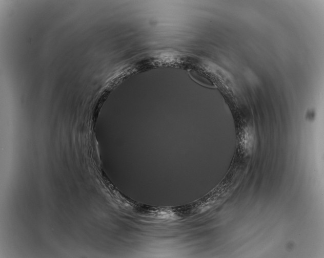 X0000097990715200804071151
