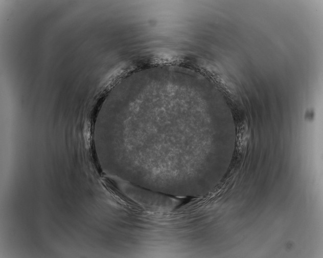 X0000097990716200804071151