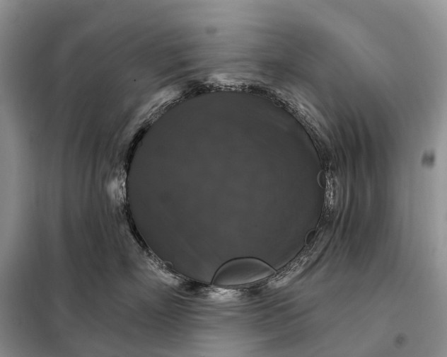 X0000097990718200804071151