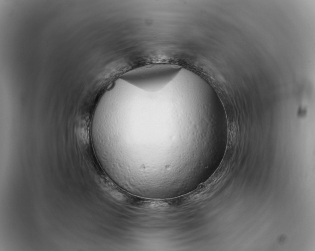 X0000097990719200804071151
