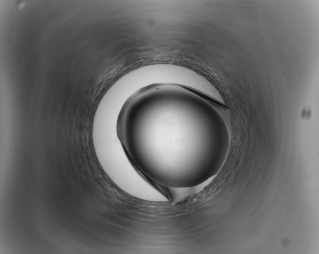 X0000097990720200804071151