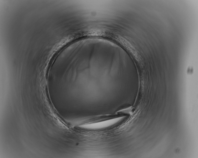 X0000097990721200804071151
