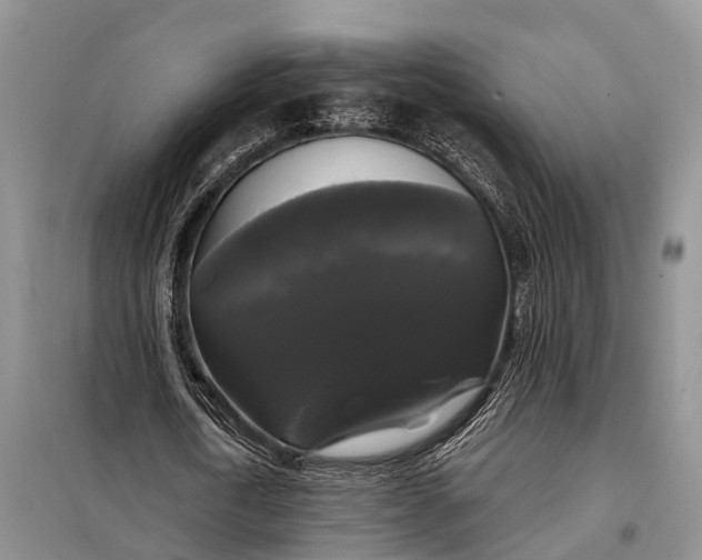 X0000097990722200804071151