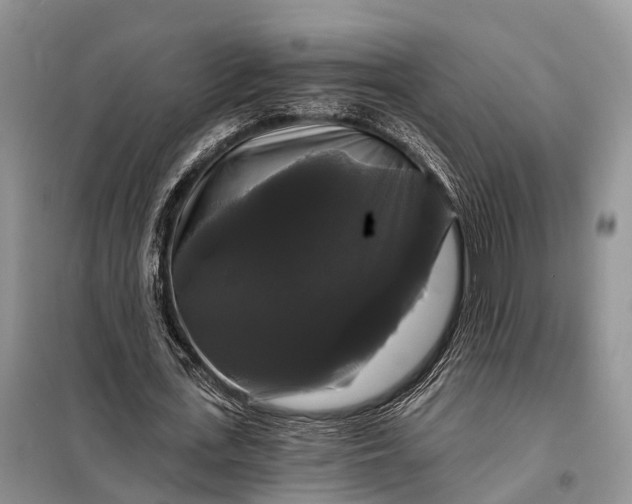 X0000097990723200804071151