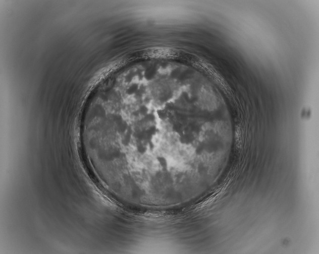 X0000097990725200804071151