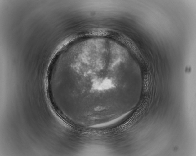 X0000097990726200804071151