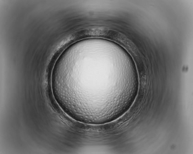 X0000097990727200804071151