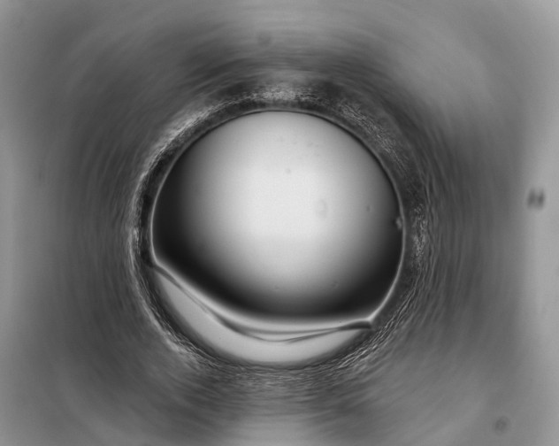 X0000097990728200804071151