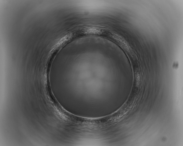 X0000097990729200804071151