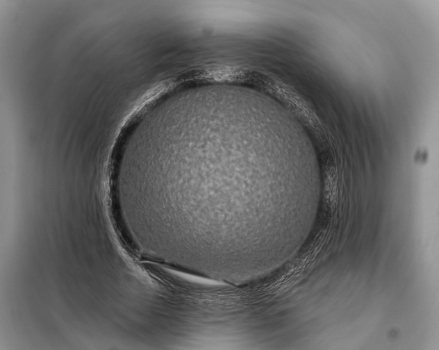 X0000097990730200804071151