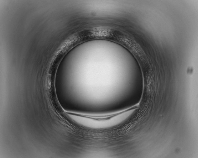 X0000097990731200804071151