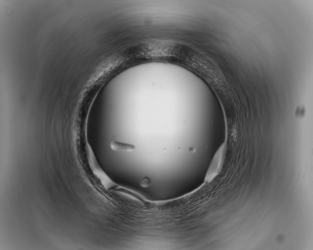 X0000097990732200804071151