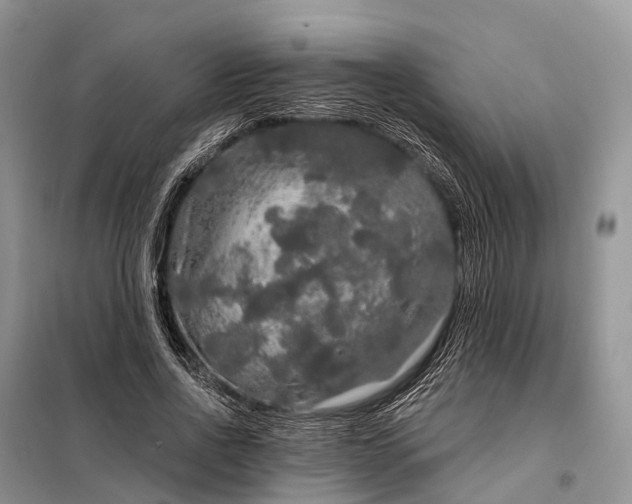X0000097990734200804071151