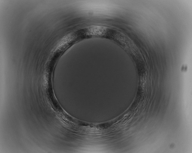 X0000097990735200804071151