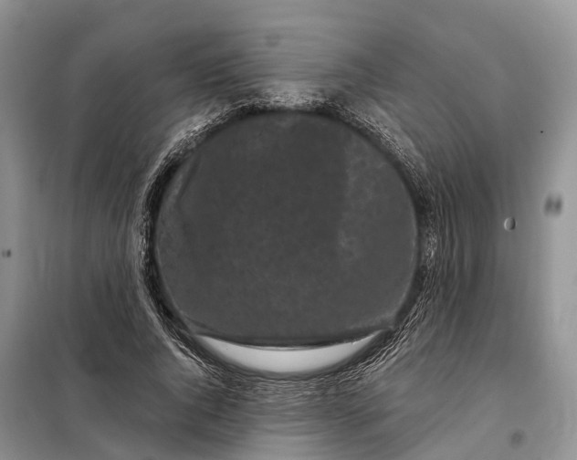 X0000097990736200804071151