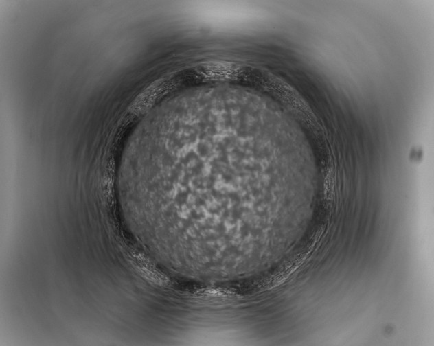 X0000097990737200804071151