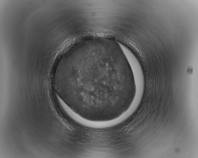X0000097990738200804071151