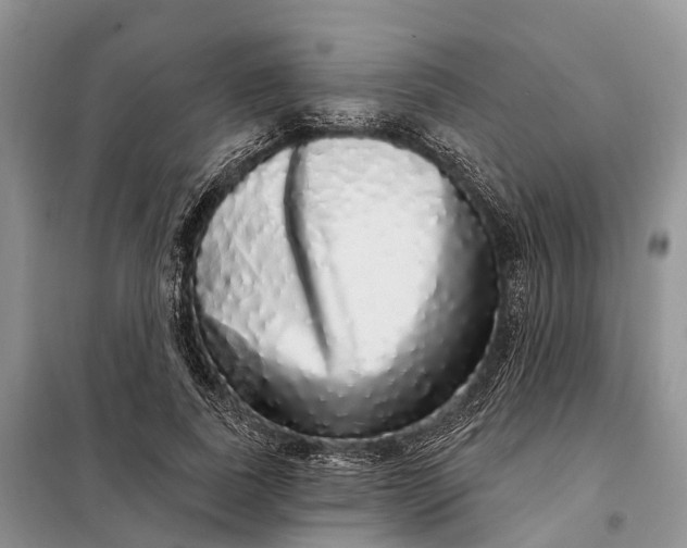 X0000097990739200804071151